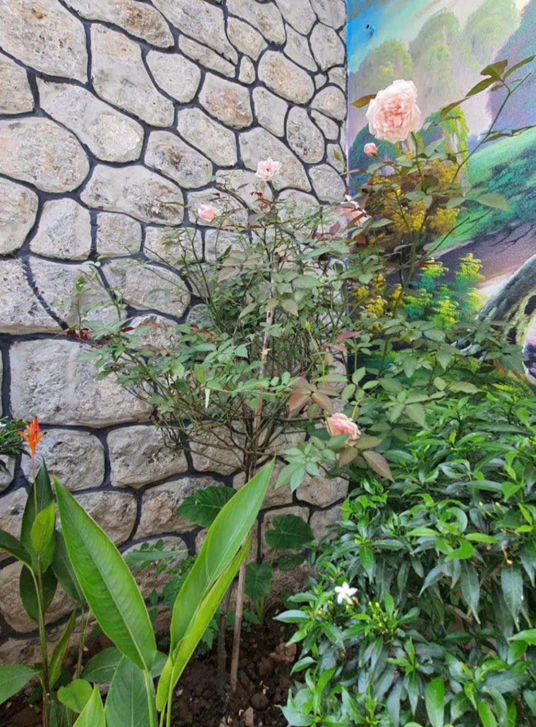 Trang An Hana Homestay Nguyen Ngoai Exterior photo